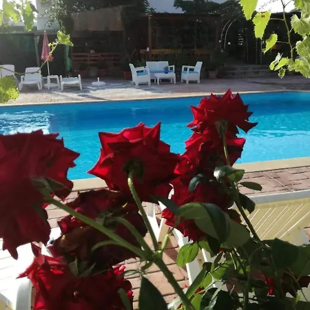 Ethno Guest Apartment